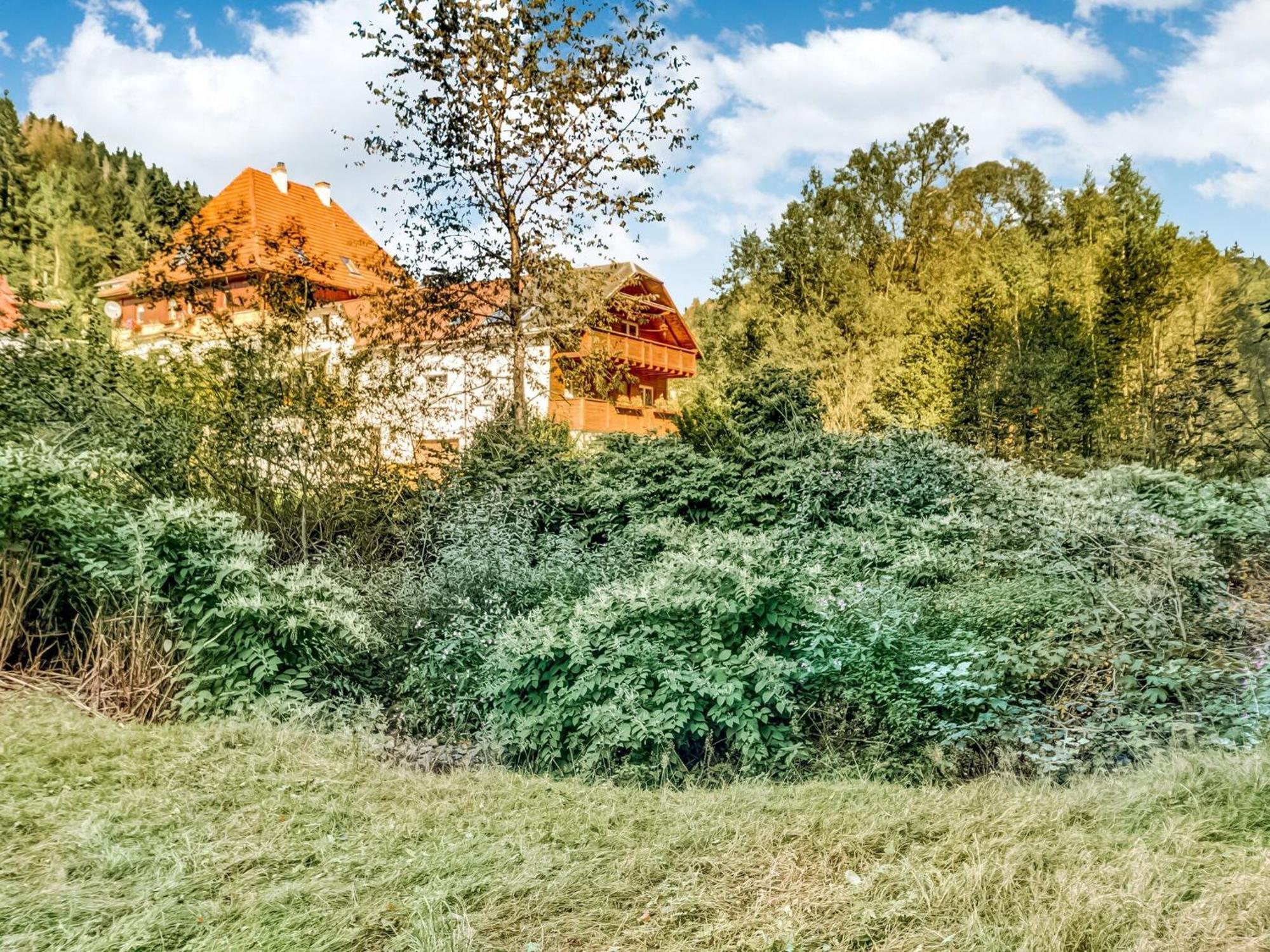 Apartment Thuringian Forest With Balcony Gießübel Exterior foto